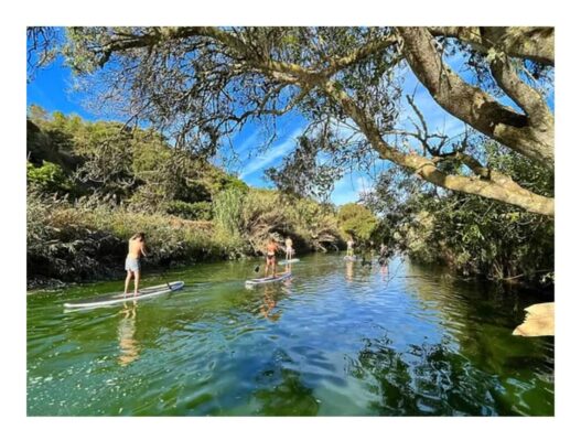 Outdoor paddleboarding on a calm river with lush greenery and clear blue sky. Enjoy a relaxing paddleboarding session on a peaceful river surrounded by nature.
