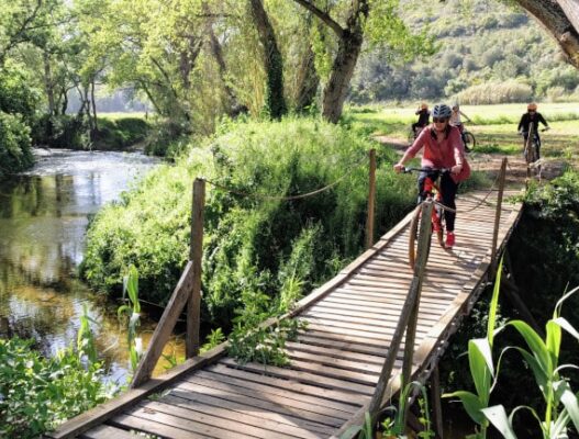 wine tasting bike ride